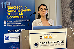 Nano Rom 2025